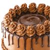 BEST MOIST CHOCOLATE CAKE -1.5kg