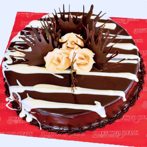Chocolate Cakes Special Mahawali Reach Hotel
