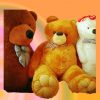 Teddy Bear 5Ft
