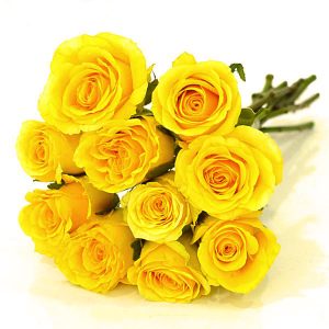 Yellow Rose Bouquet ( Imported Rose )