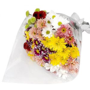 Thinking About  Multicolored Chrysanthemums