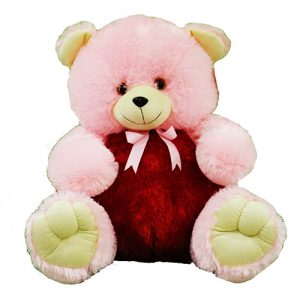 Teddy Bear Light Pink And Red