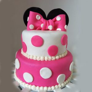 Birthday cakes for girls Make surprise 5kg